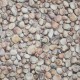 Moonlight Seashells