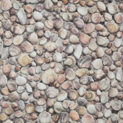 Moonlight Seashells Muszelki