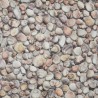 Moonlight Seashells Muszelki