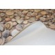 Moonlight Seashells