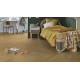 Rigid Herringbone - Highland Oak GOLD