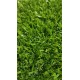 Footgrass 20