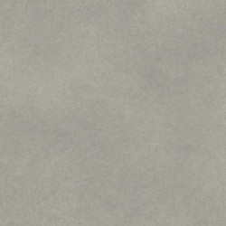 ICONIK 200T - Fibra Gravel