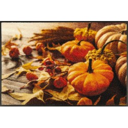 Wash+dry Pumpkin Glow