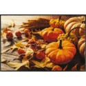 Wash+dry Pumpkin Glow
