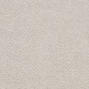 Muse Beige