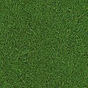 Surfaces Grass