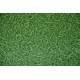 Surfaces Grass 25