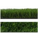 Real Grass 20/22